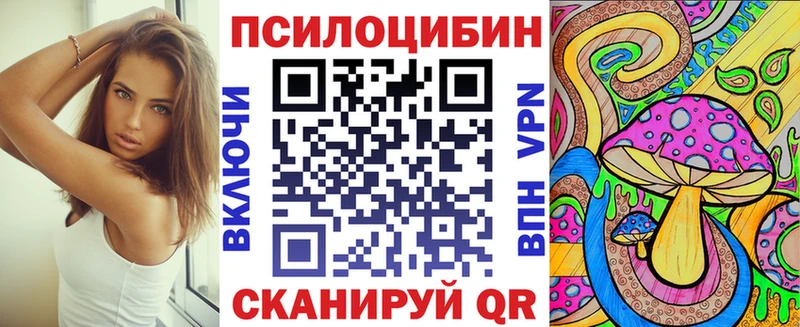 Галлюциногенные грибы Psilocybe  купить   Куйбышев 