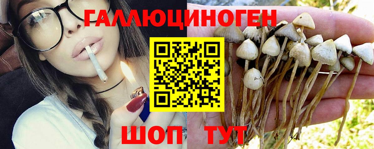 Псилоцибиновые грибы прущие грибы Куйбышев