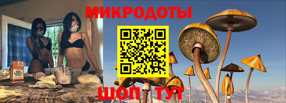 Псилоцибиновые грибы Cubensis  Галлюциногенные грибы мухоморы  Вход с VPN  Куйбышев 